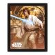 Star Wars Vader Vs Sky Walker 3D Lenticular Poster