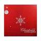 Christina Aguilera - My Kind Of Christmas